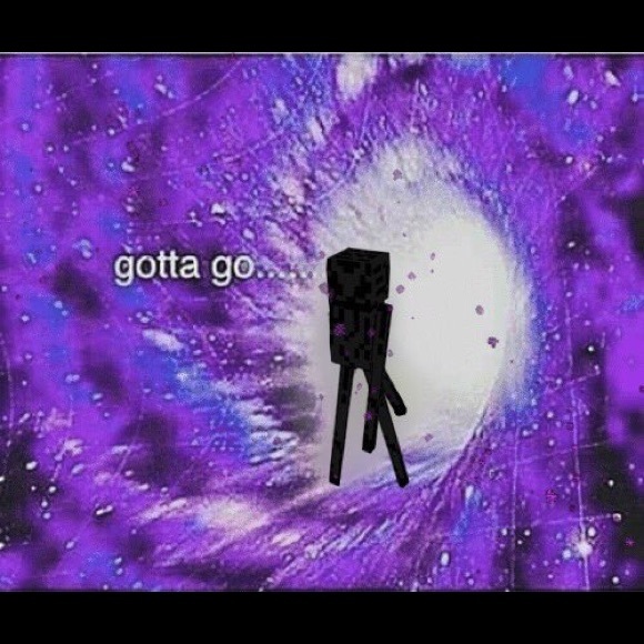 Meet your Posher, Reign - Picture 1 of 1